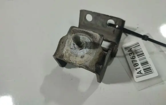 Citroen C4 I Rear door lower hinge