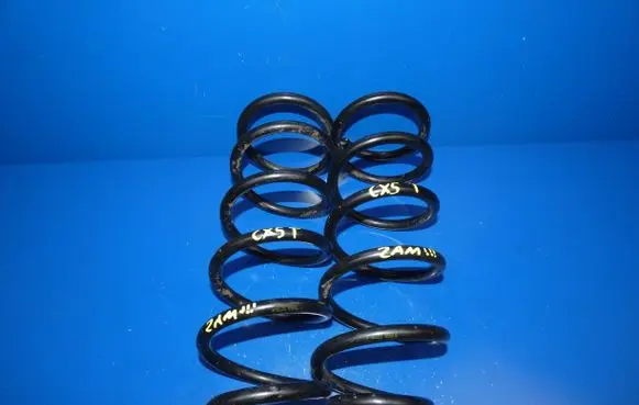 Rear coil spring
