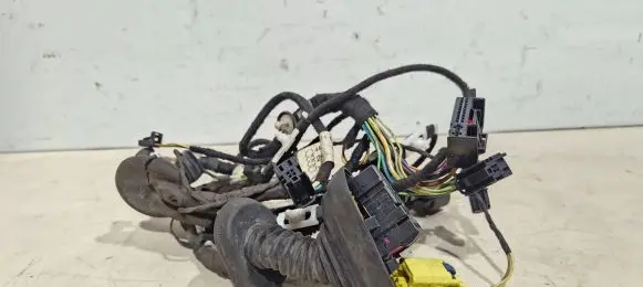 Front door wiring loom