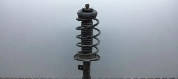 Peugeot 308 Front shock absorber with coil spring