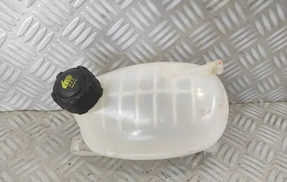 Renault Clio V Coolant expansion tank/reservoir 217102572R