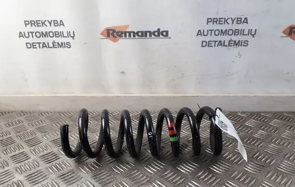 Rear coil spring
