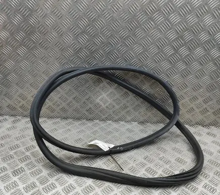 BMW X4 G02 Rubber seal rear door 7416517