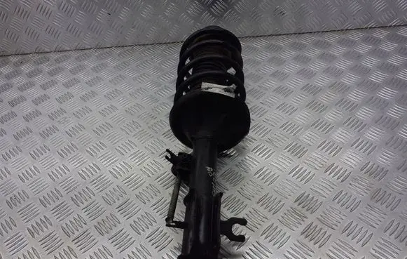 Chevrolet Aveo Front shock absorber/damper