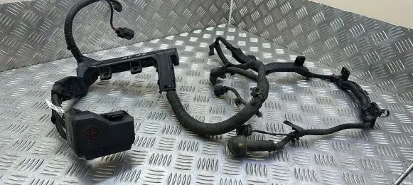 KIA Sportage Positive wiring loom 91850F1410