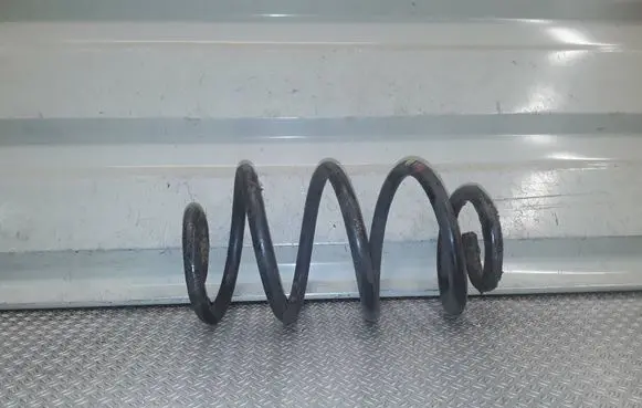 Renault Clio III Rear coil spring 