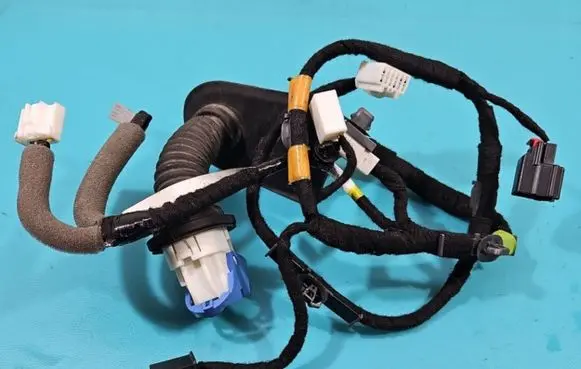 Front door wiring loom