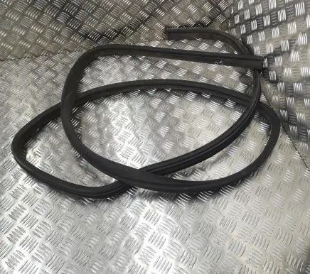 Dodge Grand Caravan Sliding door rubber seal 