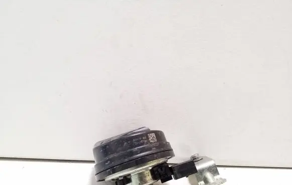 Horn signal
