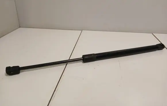 Tailgate/trunk strut/damper