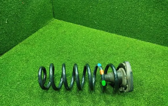 Rear coil spring