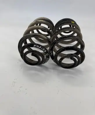 Rear coil spring