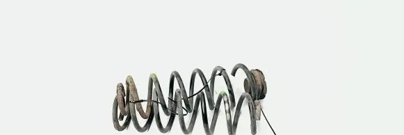 Seat Toledo II (1M) Rear coil spring