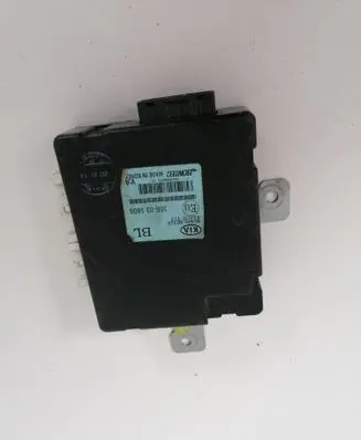KIA Sorento Other control units/modules 954003E310