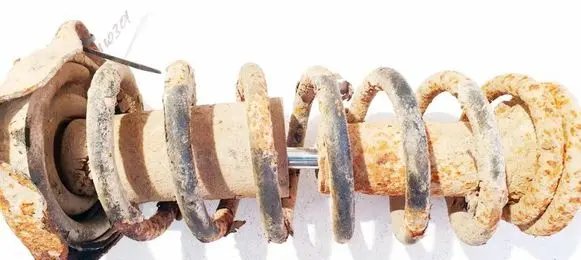 Rear coil spring