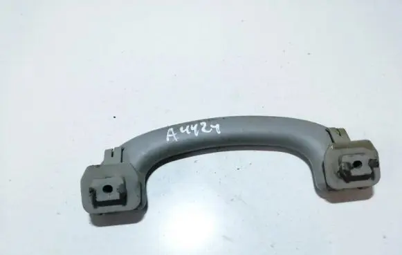 Ford Focus Front interior roof grab handle