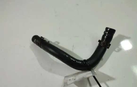 Renault Scenic I Engine coolant pipe/hose