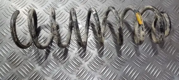 Renault Megane II Rear coil spring