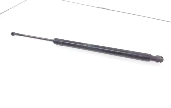 Tailgate/trunk strut/damper