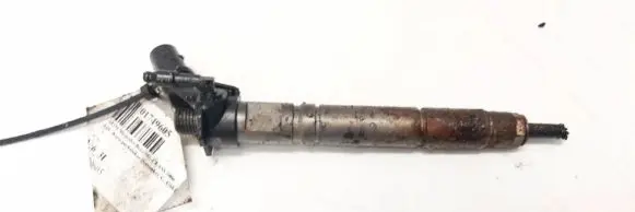 Mercedes-Benz ML W164 Fuel injector 200227 AB5CLCUBLU