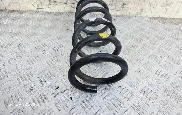 Rear coil spring