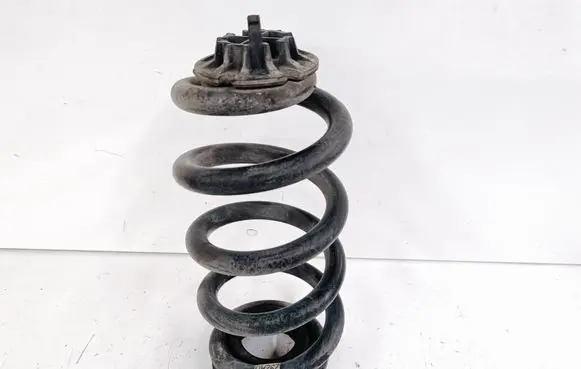 Rear coil spring