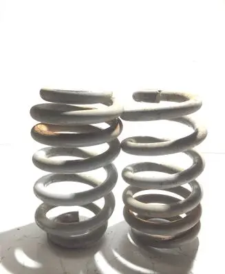 Rear coil spring