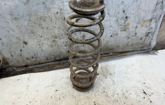 Volkswagen Golf V Rear coil spring
