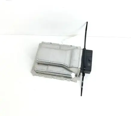 Ford Mustang Mach-E Engine control unit/module MJ9812A650VA LJ9812B684AE