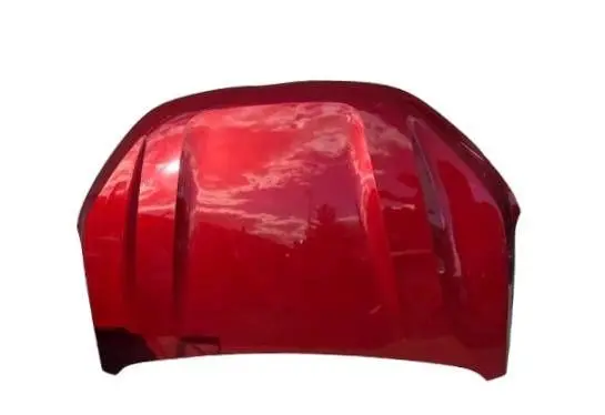 Dacia Sandero III Engine bonnet/hood 651224904R