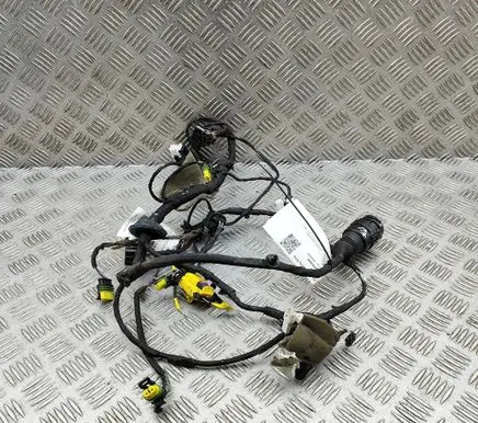 Ferrari California F149 Front door wiring loom 254953