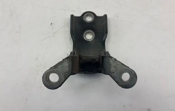 Chevrolet Captiva Rear door lower hinge
