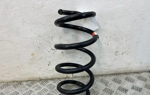 Rear coil spring