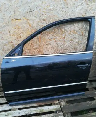 Volkswagen PASSAT B5.5 Front door
