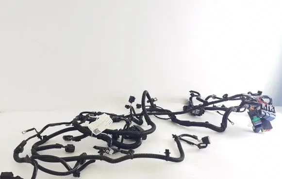 Dacia Spring Other wiring loom