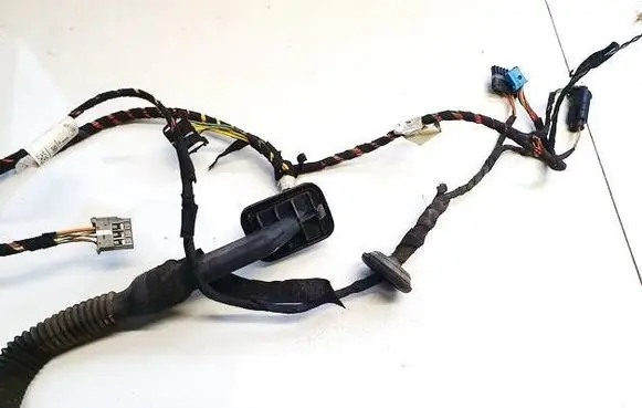 Other wiring loom