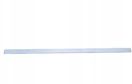 Ford Focus Front door trim (molding) 3M51R20938BCOGOTH