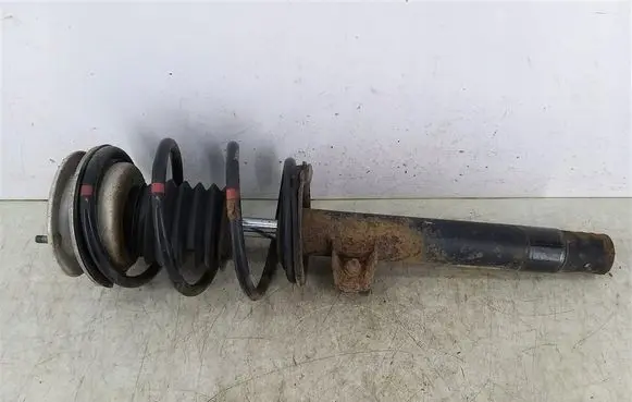 BMW 3 E46 Front shock absorber with coil spring 1096852