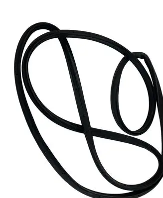 Citroen C3 Aircross Rubber seal front coupe door 
