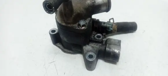 Thermostat/thermostat housing