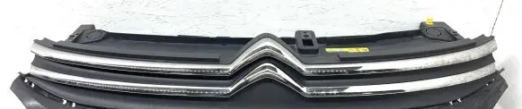 Citroen C3 Front grill 9812063477
