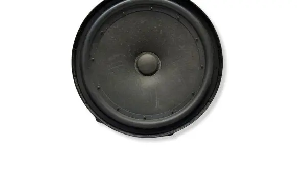Volkswagen PASSAT B8 Front door speaker 
