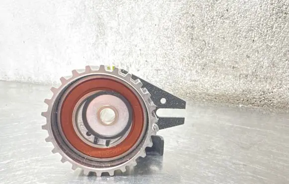 Opel Insignia A Timing belt tensioner 55566028 636685 GR77241