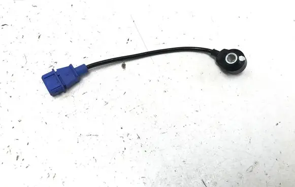 Chery 7 Detonation knock sensor 0261231213 F01R00G038