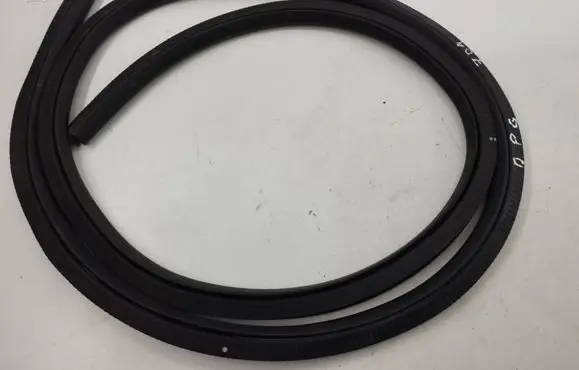 Ford Focus Rear door rubber seal (on body) 