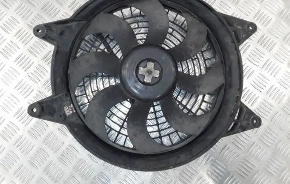 KIA Carnival Fan set 