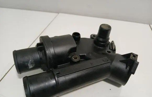 Thermostat/thermostat housing