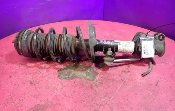 Fiat Punto (199) Front shock absorber with coil spring 51865489