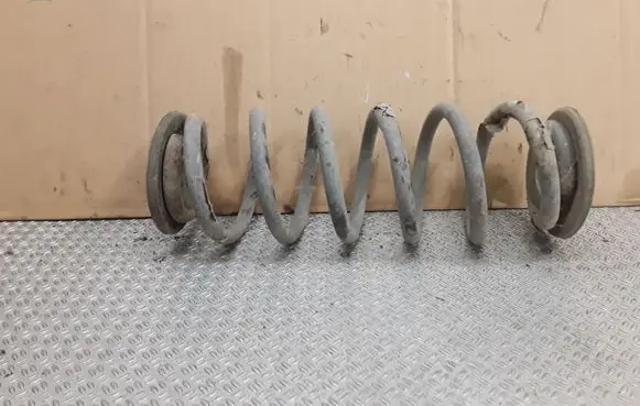 Rear coil spring
