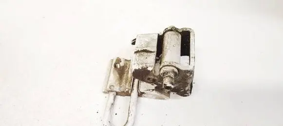 Rear door lower hinge